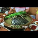 용초허브자라