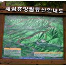 세심