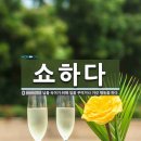 비로사진공대사보법탑비 | 사료들로 알아보는 "인간" 왕건