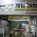 개냥아치 이미지