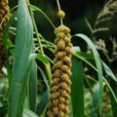 풍성세탁 이미지