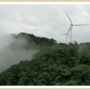 녹색목장 이미지