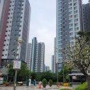 도래울자동차 | 도래울 파크뷰 임장 후기