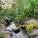 운남농장 이미지