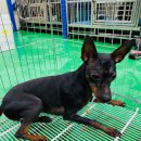 수재주유소 이미지