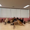 새마을 유치원 이미지