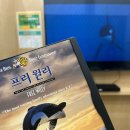 프리윌리 | 아이랑 볼만한 영화, 범고래 우정 감동 명작 [프리윌리 1,2,3] OTT엔 왜 없지?
