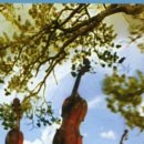 나의 사계 이미지