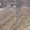 옥천군이원면보건지소 | 누가 엄청난 전력자원을 옮기려 하는가