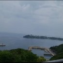 #대마도 2박3일 투어 마지막 셋째날/#와타즈미신사/#슈시강 단풍길#미우다해수욕장/#한국전망소 이미지