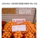 WR(서울특별시 강서구)-[마곡중앙8로]-하-6 | 2025. 12월 일상 (다시는 오지 않을 순간들)