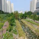 거성공인중개사사무소 이미지