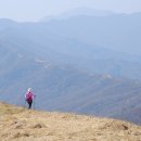 지리산명가 이미지