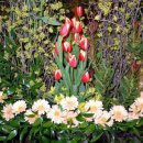 성전2호 이미지