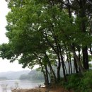 강건너맛집 이미지