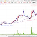 선도전기 이미지