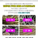 연세선내과의원 네이버블로그