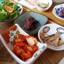 덮밥집 티스토리