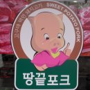 땅끝포크