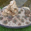 용설농장 이미지