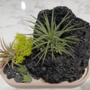 제로웨이스트 설거지바 만들기 이미지