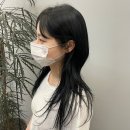 아르브헤어 arvv 이미지