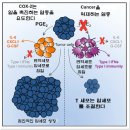 (주)비알엠 네이버블로그