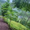 산골농장 이미지