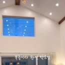 제주애빛나다 이미지