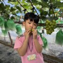 이레농장 2 이미지