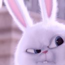 청담눈초롱안과동물병원 이미지