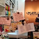 메이린(MAYLIN) 이미지
