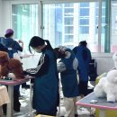 개인정애견샵 이미지