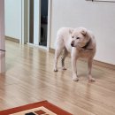 정근농장 | ~2월 6일 목요일