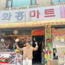 금비디오 이미지