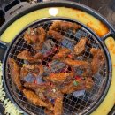 신마포갈매기 이미지