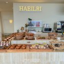 해일리 풀앤스파 이미지