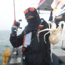 왕쭈꾸미 이미지