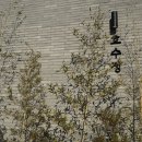 호수정 | 호수정 한정식 강릉본점 | 강릉 여행 코스 경포호수 근처 맛집