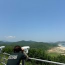 더씨194 이미지
