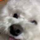 (주)진심