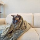 와이즈랩 이미지