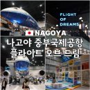 [아이와 나고야여행 4일째] 나고야 중부국제공항 플라이트오브드림 키즈파크 (ft. 센트레아 T1↔T2 무료...