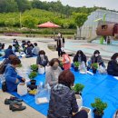 한국안전교육연합회