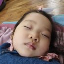 밀림아구탕 이미지