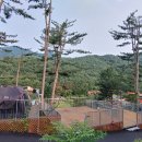 무릉도원 캠핑장 이미지