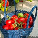 오길농장 이미지