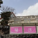 허브팜 | 포천 가볼만한곳 '허브아일랜드' 서울 근교 드라이브 야경 명소 추천
