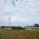 오천초등학교삽시분교장 이미지