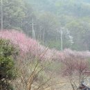 청미래마을(수암) 이미지